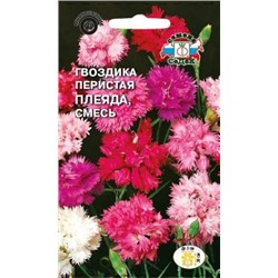 Цв.Гвоздика Перистая Плеяда смесь (Седек) 0,3гр