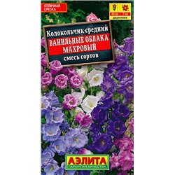 Колокольчик Ванильные облака махр. (Аэлита)