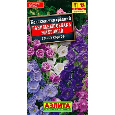 Колокольчик Ванильные облака махр. (Аэлита)