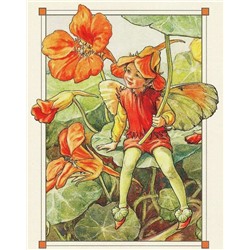 Маленькие феи:книжка-раскраска для юных леди