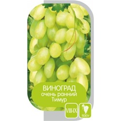 Виноград Тимур (Сем.Алтая)