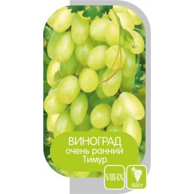 Виноград Тимур (Сем.Алтая)