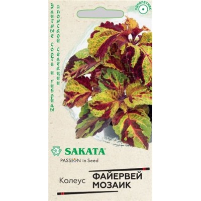 Цв.Колеус Файервей Мозаик (Гавриш) 4шт