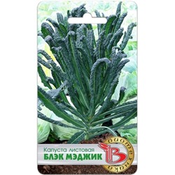 Капуста Листовая Блэк Мэджик (Био) 0,3гр