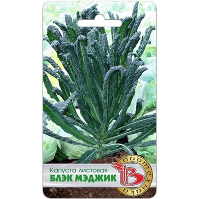 Капуста Листовая Блэк Мэджик (Био) 0,3гр