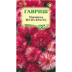 Маргаритка Весна - красна (Гавр)