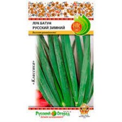 Лук Батун Русский Зимний (НК) 1г