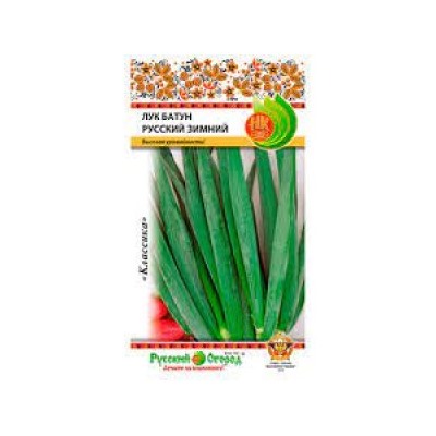 Лук Батун Русский Зимний (НК) 1г
