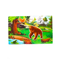 Магнитная развивающая игра «Соседи по планете»