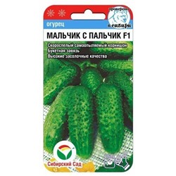 Огурец Мальчик с пальчик F1 (Код: 73432)