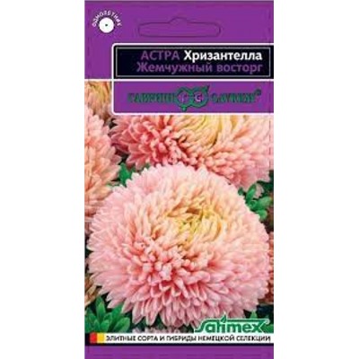 Цв.Хризантелла Жемчужный восторг (Гавриш) 0,05г