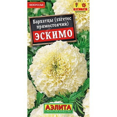 Бархатцы Эскимо прямостоячие (Аэлита)