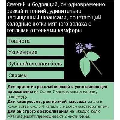 Эфирное масло Aroma BIO Мята 10мл