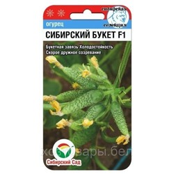 Огурец Сибирский букет F1 (Сиб сад)