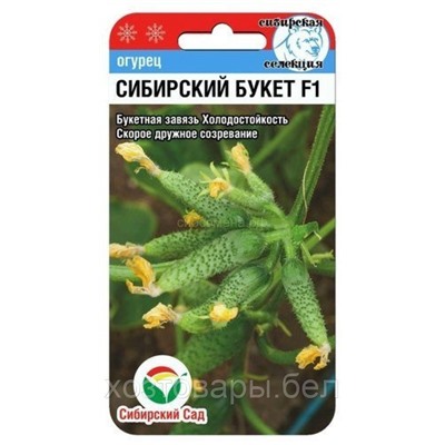 Огурец Сибирский букет F1 (Сиб сад)