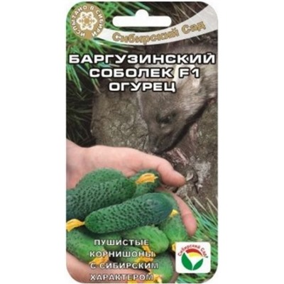 Огурец Баргузинский соболек F1 (Сиб.сад) 7шт
