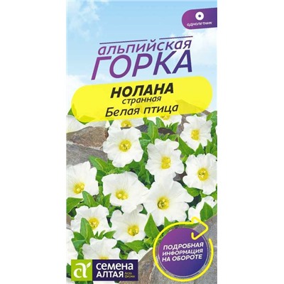 Нолана Белая птица (Алтай)