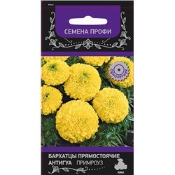 Бархатцы Антигуа Примроуз прямостоячие (П)