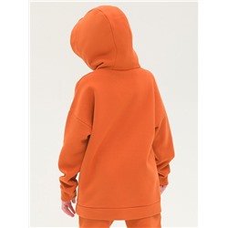 UFNK5323 (Толстовка детская, Pelican Outlet )