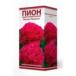 Пион Феликс Крауссе трав. 1шт (Поиск)