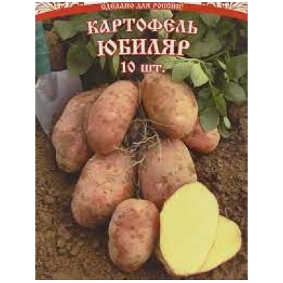 Картофель Юбиляр СЭ 28-55 (НК) уп - 10шт
