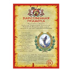 Дарственная Грамота 03 На Победу и Достижения SH 903043