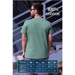 Футболка мужская GL828