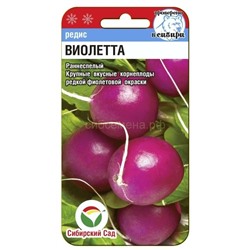 Редис Виолетта (Сиб сад)