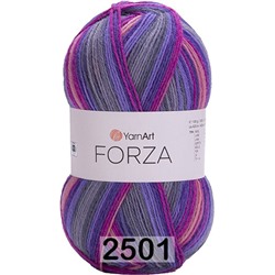 Пряжа YarnArt Forza