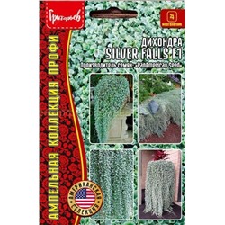 Дихондра Сильвер Фаллс F1 - Silver Falls (серебр водопад)(Редкие)