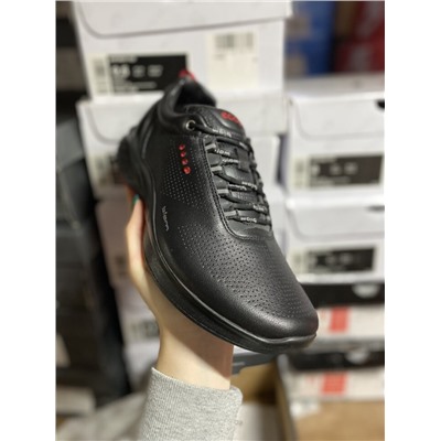 ecco colour description