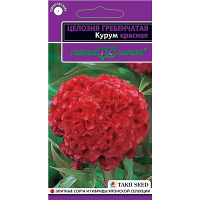 Целозия Курум красная гребенчатая (Гавр)