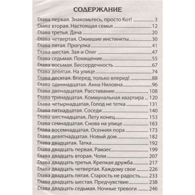 Юрий Ситников: Рыжий. Невероятные истории