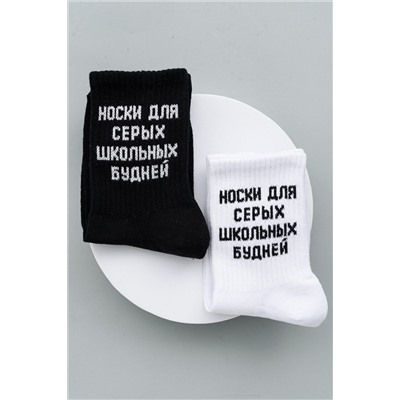 Детские носки стандарт Школьные будни (комплект 2 пары) НАТАЛИ #1031022