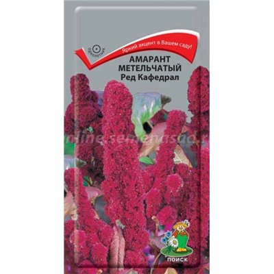 Цв.Амарант Ред Кафедрал метельч. (Поиск) 0,1гр.