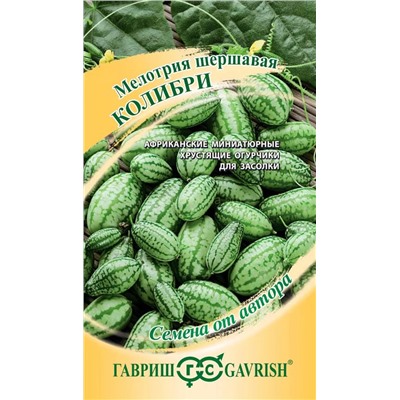 Мелотрия Колибри (Гавр)