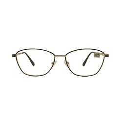 Готовые очки Farsi 7915 c1