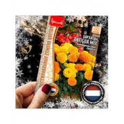 Цв.Барх.Антигуа Микс F1 (Antigua Mix) (Григорьев) 10шт