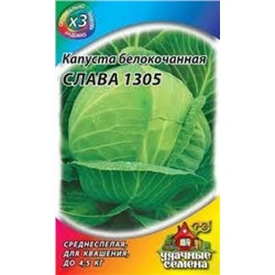 Капуста Слава 1305 (Гавриш) 0,1г металлизир.