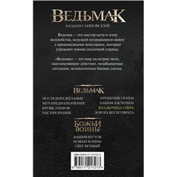 Ведьмак. Владычица Озера