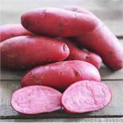 Картофель Сюрприз 28-55 (НК) уп.10шт