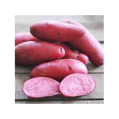 Картофель Сюрприз 28-55 (НК) уп.10шт