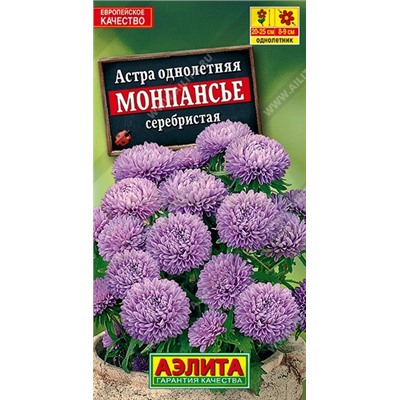 Астра Монпансье серебристая (Аэлита)