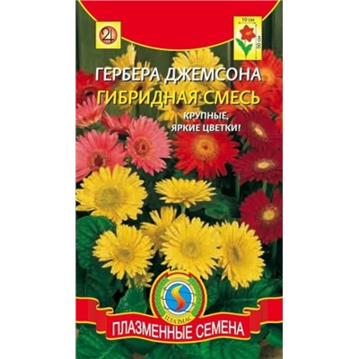 Цв.Гербера Джемсона смесь (Плазма) 10шт
