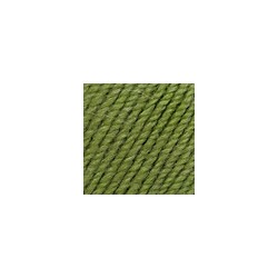 Svetlana wool (светлана чш)