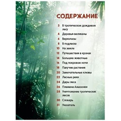 Джунгли. Энциклопедия для малышей