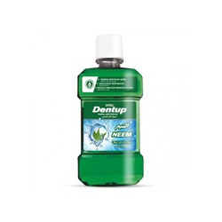 DENTUP Herbal Mouthwash, NEEM, Vasu (ДЕНТАП, Ополаскиватель для полости рта с НИМОМ, Васу), 250 мл.