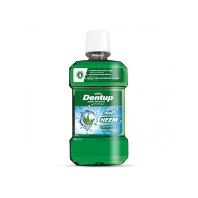 DENTUP Herbal Mouthwash, NEEM, Vasu (ДЕНТАП, Ополаскиватель для полости рта с НИМОМ, Васу), 250 мл.