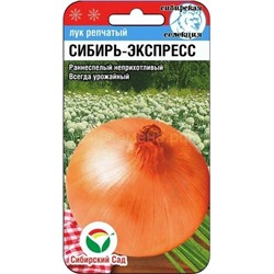 Лук Сибирь-Экспресс (Сиб сад)