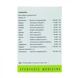 KANCHANARAGULGULU-DS Tablets, AVN (КАНЧАНАРАГУЛГУЛУ-ДС, для лимфатической системы, АВН), 120 таб.